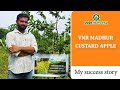 Earn more from VNR Madhur- Custard Apple/ Sitaphal  वीएनआर मधुर - सीताफल/शरीफा से अधिक कमाई