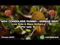 NEW CONGOLESE RUMBA+ SEBENE BEAT: Live Solo & Bass Guitars #forsale +255759683635