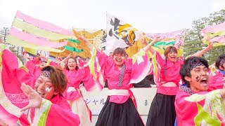 [4K] 京炎そでふれ！ 志舞踊　京都さくらよさこい 2018 神宮道スペシャルステージ(中央)