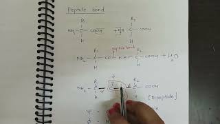 Ramachandran plot