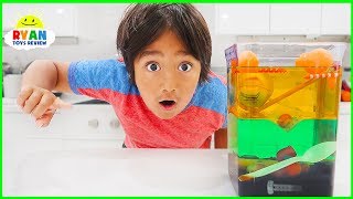 Sink or Float Density Tower Science Experiments for Kids!!!