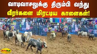 வாடிவாசலுக்கு திரும்பி வந்து வீரர்களை மிரட்டிய காளைகள்! | Palamedu Jallikattu 2022 Live | Madurai