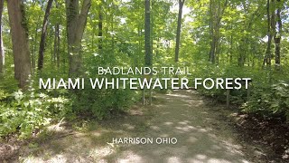 Miami Whitewater Forest Badlands Trail HD 1080p Relaxing Afternoon Nature Walk