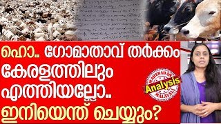 കേരളത്തിലും ഗോമാതാവ് പ്രശ്‌നമുണ്ടാകുമ്പോള്‍... l cow god issue kerala