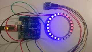 NeoPixel and HTU21D Display