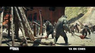 El Reino del Planeta de los Simios | Ya en cines | HD