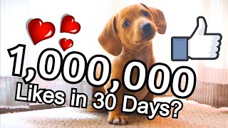 Can this video get 1 Million Likes? ... lets #like it just for #fun :-)