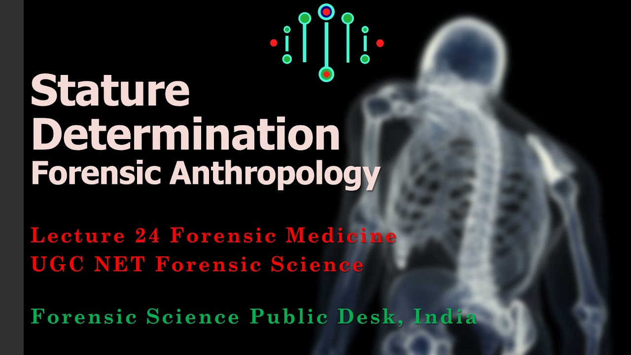 Stature Estimation From Bones | Forensic Anthropology | Lecture - 23 ...