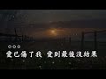 癡心是我犯的錯 暴林版本 國語 歌手演唱版