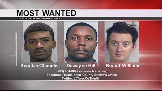 TUSCALOOSA'S MOST WANTED: JUNE 14, 2017