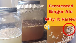 Fermented Ginger Ale And Why It Failed