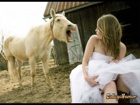 Horse Mating With Girl Porn - HOT PHOTO