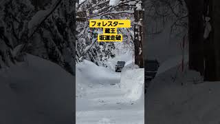 フォレスター　Xmodeで山形蔵王の豪雪坂道を走破#フォレスター #雪道 #蔵王