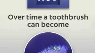 Change your toothbrush every 3 months!