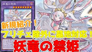 新規紹介！妖竜の禁姫！ドラゴン族の融合モンスター！フィールド墓地を除外しバウンスを絡めて動く！！！【遊戯王】