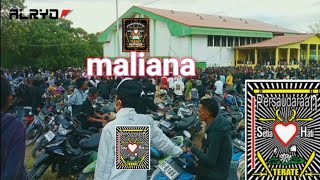 Suasana sebelum pengesahan ( PSHT) SH TERATE tahun 2023 di gor maliana Bobonaro