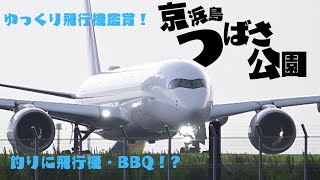 No67　京浜島つばさ公園でゆっくり飛行機撮影！