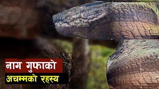 के फेरि ब्युँतिएलान त श्रापका कारण सर्प बनेका राजा ऊ लु । || Bishwo Ghatana