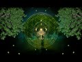 Connect With Tree Energy | Frequencies Of The Forest | Grounding Root Chakra