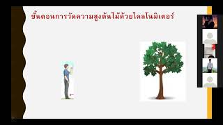 การวัดความสูงของต้นไม้