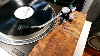 E1     Technics SL 110....new wood...