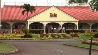 Dole Plantation in Honolulu Start of the Day's Trip in Hawaii