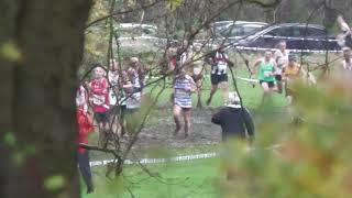 Senior Men UK Cross Challenge and European Trials at Liverpool 26th November 2022