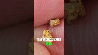 Gold Specimens and Tiny Nuggets #goldmining #specimens #gold #prospecting