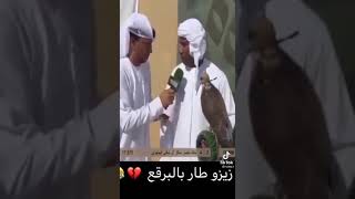 ههههههههه طار بالبرقع