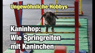 Kaninhop: Wie Springreiten mit Kaninchen