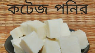 কটেজ পনির || কিভাবে সহজেই কটেজ পনির বানানো যায় || Easy cottage cheese 🧀 || COOKING WITH PROGGA