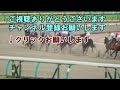 盛岡競馬【マイルチャンピオンシップ南部杯】10 10 月 12r《地方競馬 指数グラフ・予想・攻略》