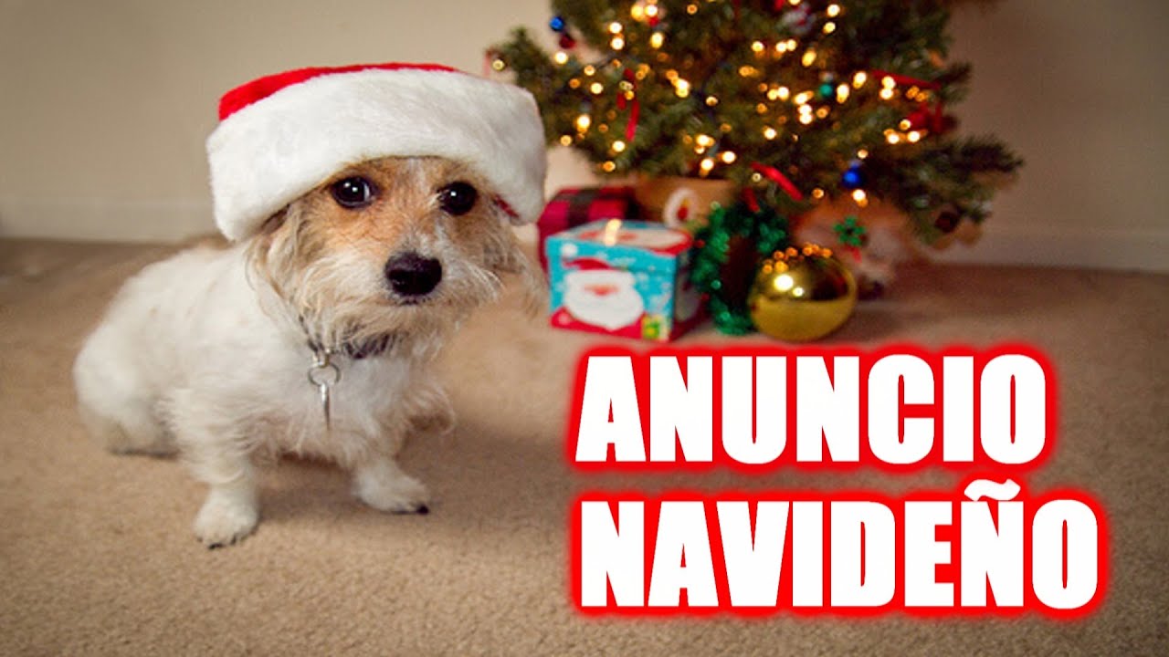 Anuncio Navideño [Feliz Navidad] - YouTube