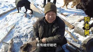 20210216    -     Dog rescue in China    老舅给狗狗烀鸡架改善生活，好幸福的流浪狗，满满的都是爱