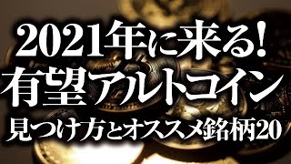 2021年に来る！有望アルトコインの見つけ方と、今すぐ買うならオススメしたい銘柄を20通貨紹介！【イーロン・マスク砲記念動画】