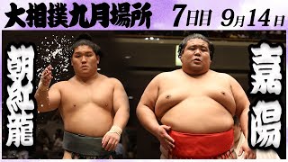 大相撲　朝紅龍ー嘉陽　＜令和６年九月場所・7日目＞SUMO