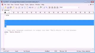 13 | Beginner PHP Tutorial 13 | Comments in PHP | GeekyPHP |