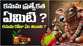 What should you eat on Kanuma day ? | కనుమ రోజు ఏం తినాలి ? | Usha Vemuri | #sankrantifestival