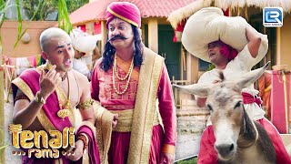 Tenali और Kotwal क्यों निकल पड़े मुर्ख ढूँढ़ने | तेनाली रामा | Full Episode HD 31