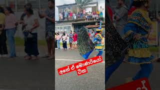 කොහමද ඒ මොනර පැටවු ටික ... ඉවර වෙනකම් බලන්න