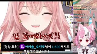 2025 01 19 ✨💖💕✨샤랄라 곤듀 이제 23짤이예영  오늘 25짤 갈꼬양 ㅋㅋദ്ദി❁´◡`❁ 🐣🤣