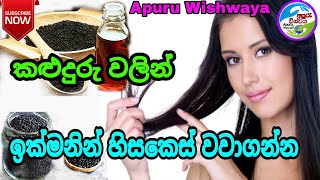 කළුදුරු වලින් ඉක්මනින් හිසකෙස් වවාගන්න|Black seeds for hair growing|kaluduru |ApuruWishwaya