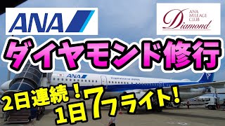 【SFC修行 ANA】ダイヤモンド修行！2日連続で1日7本飛ぶ！スパルタ修行僧の修行2日目 -前編-