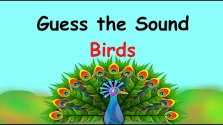 Guess the Sound, Birds