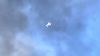 F22 Raptor Falling Leaf Maneuver - NAS OCEANA Airshow 2023