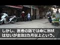 【スカッとする話】愛人と密会中の夫が大事故に 警察「夫さんが瀕死です！今すぐ家族で来てください！」即、子供を抱え両家親族と病室へ駆けつけると全員目を見開き絶叫…だってそこに居たのは…【【修