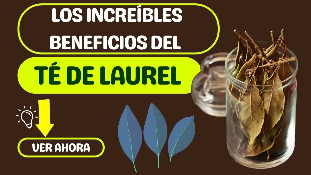 Descubre Los Increíbles Beneficios Del Té De Laurel Para Sanar ...