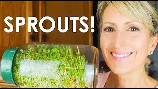 HOW TO GROW SPROUTS AT HOME - EASY & CHEAP!