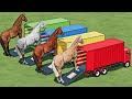 Trucks Of Colors - Horse Loading Work On Trucks w/ Loaders  - Farming Simulator 22