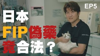 【我不是藥神・我只是貓奴】 EP5 誰是西瓜爸爸？前進日本，解密中國FIP偽禁藥到日本落地合法的關鍵！